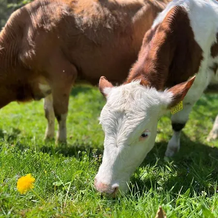 Agroturismo Familienbauernhof Glockriegl