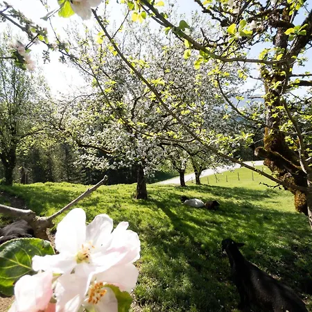 Alloggio per agriturismo Familienbauernhof Glockriegl