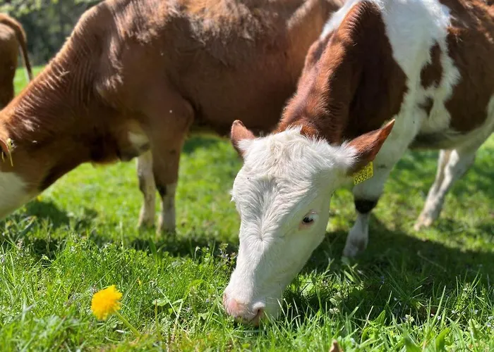 Agroturismo Familienbauernhof Glockriegl