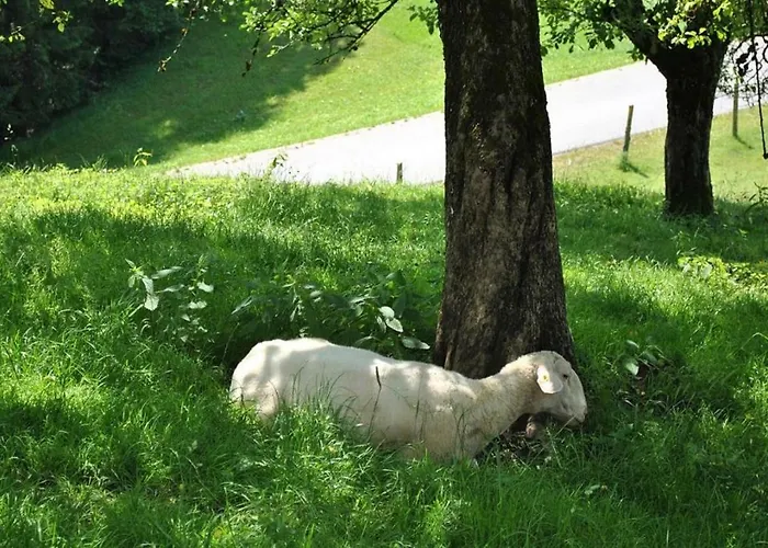 Familienbauernhof Glockriegl Lunz am See